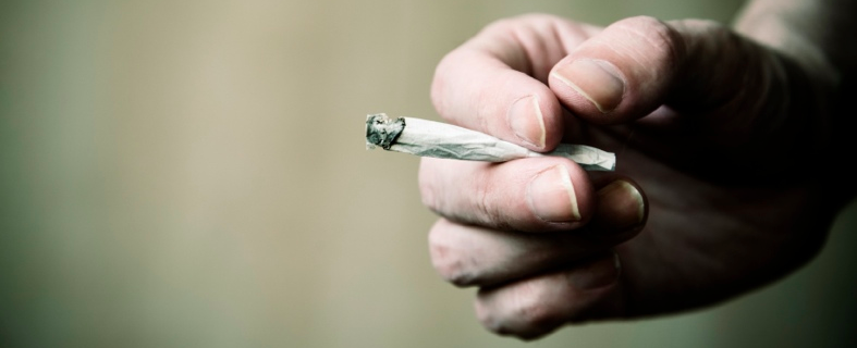 marijuana-facts-for-kids